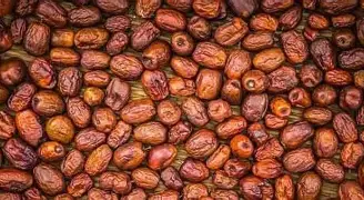 Egyptian Jojoba seeds